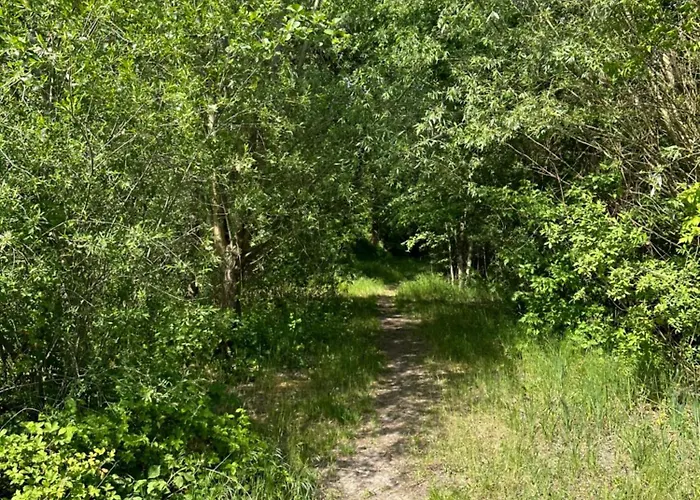 Nad Jeziorem Wilczynskim Dla Czterech Osob, Sypialnia Z Lozem Malzenskim Oraz Salon Z Rozkladanym Naroznikiem Ferienhaus